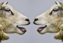 Co to jest komunikacja korporacyjna? Co to jest komunikacja korporacyjna?