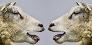 Co to jest komunikacja korporacyjna? Co to jest komunikacja korporacyjna?